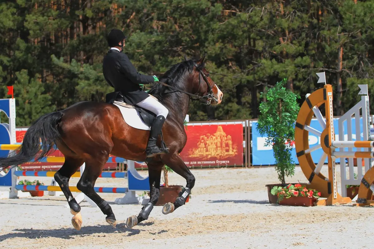 Peur à cheval en équitation