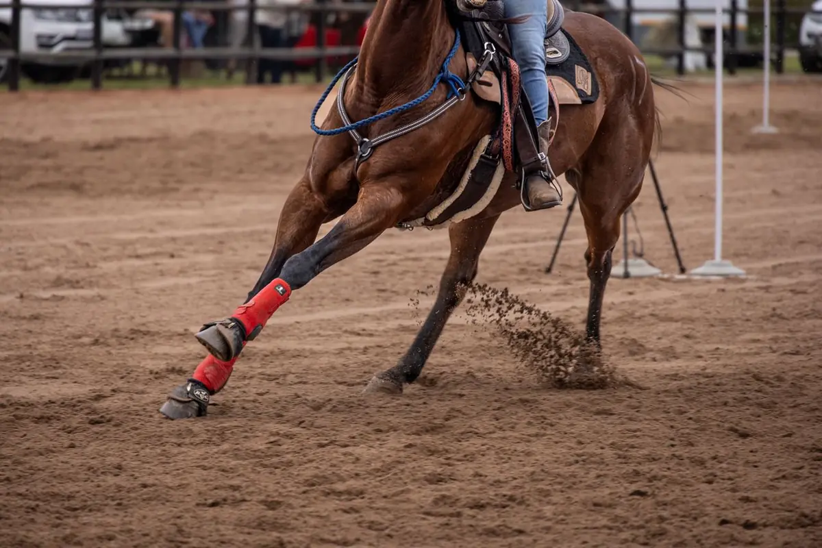 Cheval et cavalier en plein galop dans une carrière, projetant du sable
